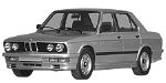 BMW E28 C20C4 Fault Code