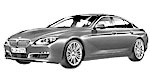 BMW F06 C20C4 Fault Code